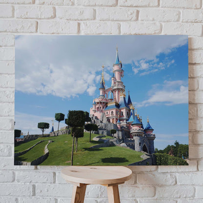 Tableau Disneyland Paris Toile